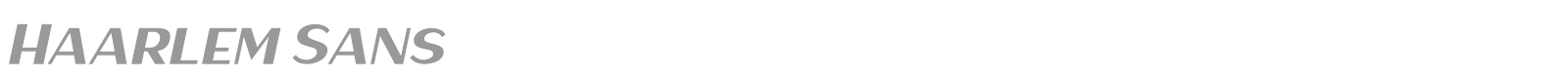 Haarlem Sans font preview